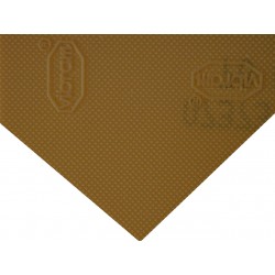 TEQUILGEMMA    1,8    karmel   [49] płyta zelówkowa