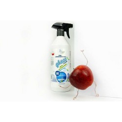 GLASS SHINE 1L - Płyn do mycia szyb Ekologiczny płyn nadający połysk bez smug