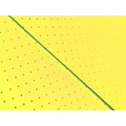 EPI EVA pianka perfor. 1,5mm   żółta 102x98cm